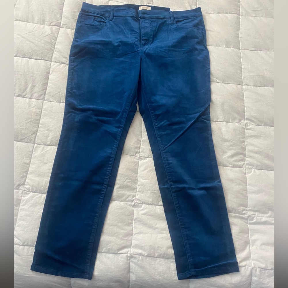 NWT Skinny Curvy Size 16 LOFT Pants